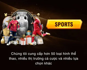 Tổ chức hỗ trợ chuyên nghiệp