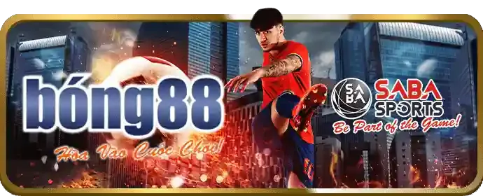 Chiến thuật săn cá